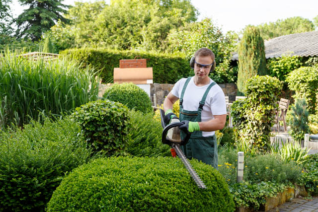 Job offer Unterhaltsgärtner Schaffhausen