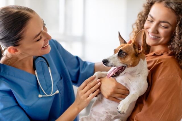 Stellenangebot Assistant en médecine vétérinaire  – Suisse Romande – Postes fixes H/F Waadt (Kanton)